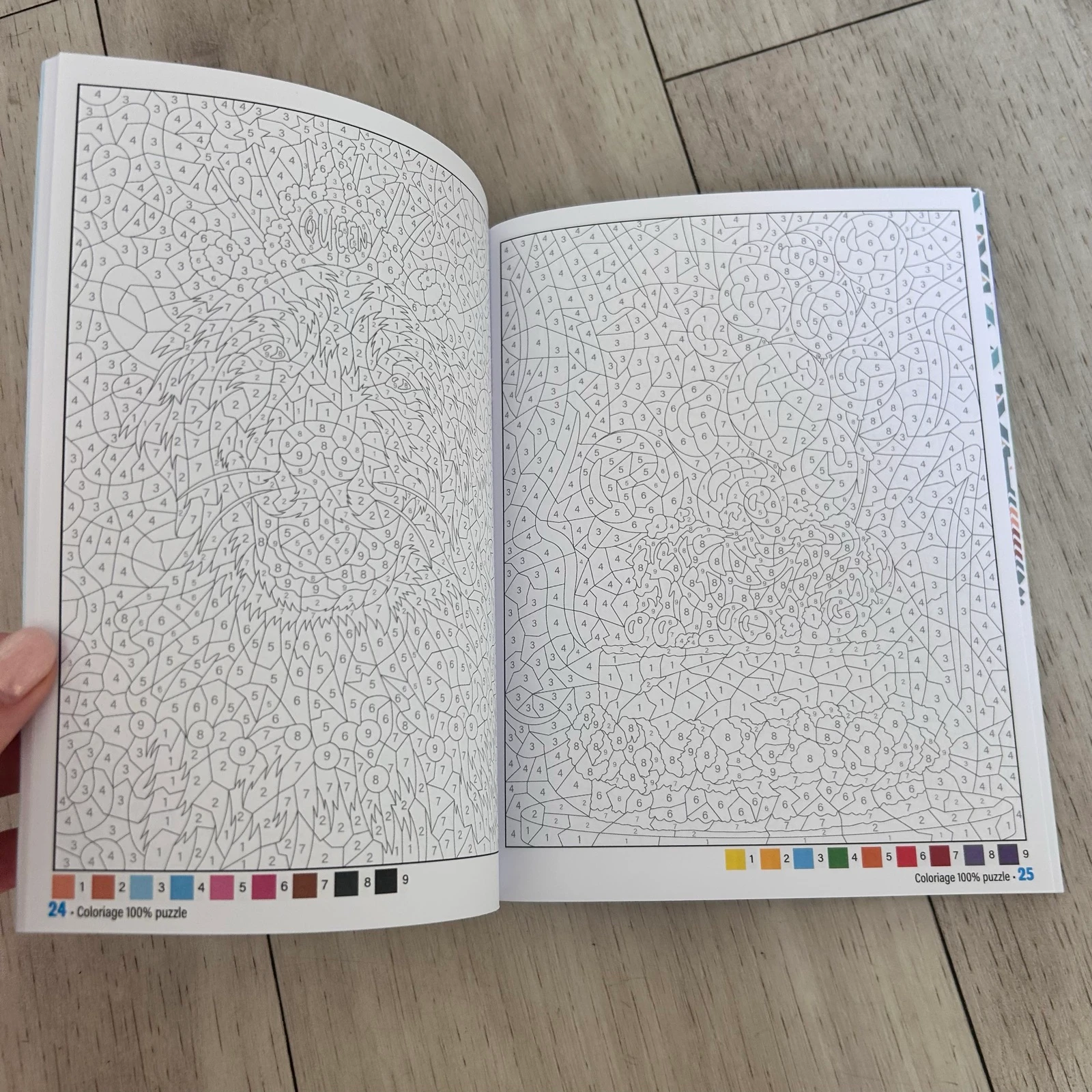 Diverti Coloriage 100% Puzzle N°11 – Cores Francesas por Número – photo 3
